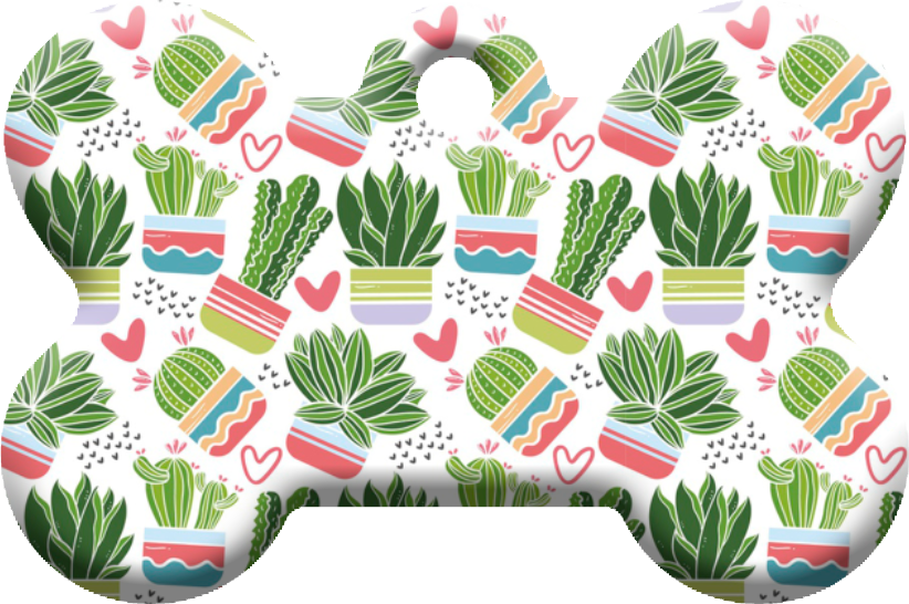 Cactus_14